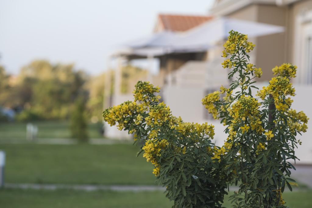 Casa Di Varco Fríni Kültér fotó